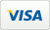 logo visa